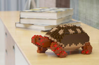 Tortuga de patas rojas