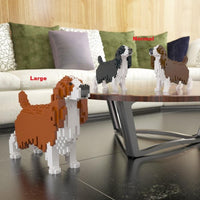 Springer Spaniel inglés