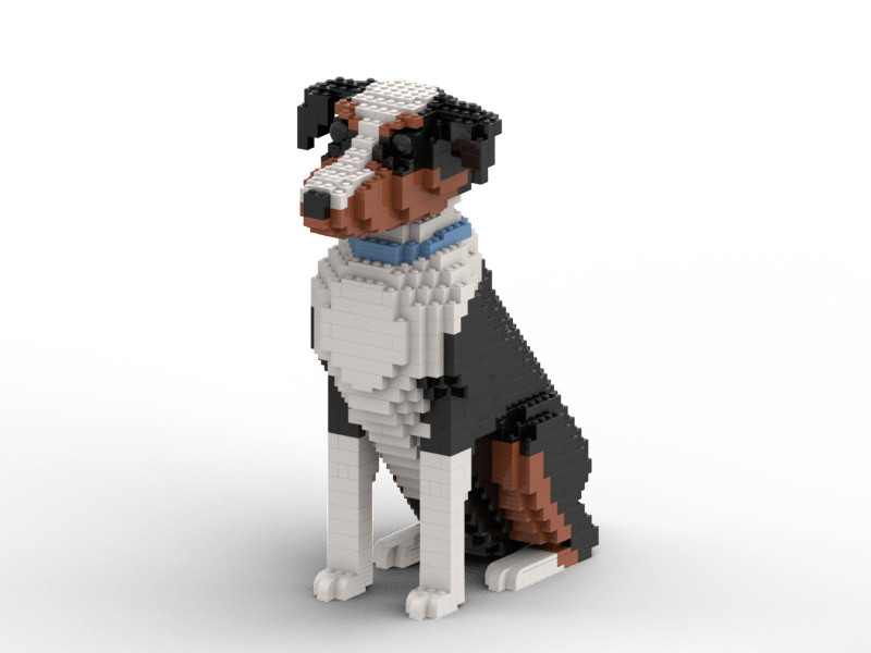 Kit de mascota personalizado (no incluye ladrillos)