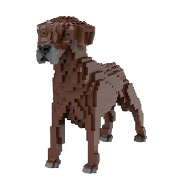 Perro crestado de Rodesia