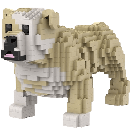 Bulldog inglés de pie