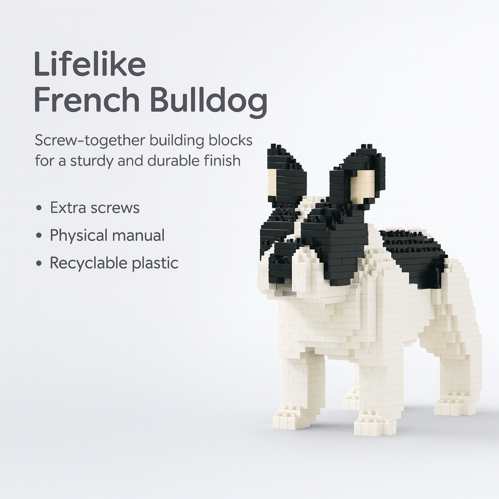 French Bulldog - Grey - Looking - LARGE - French Bulldog