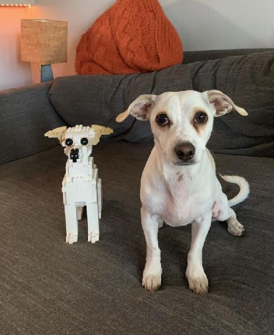 Kit de mascota personalizado (no incluye ladrillos)