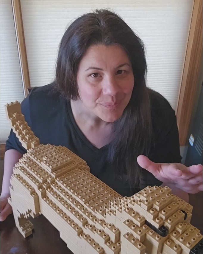 Perro Labrador Retriever