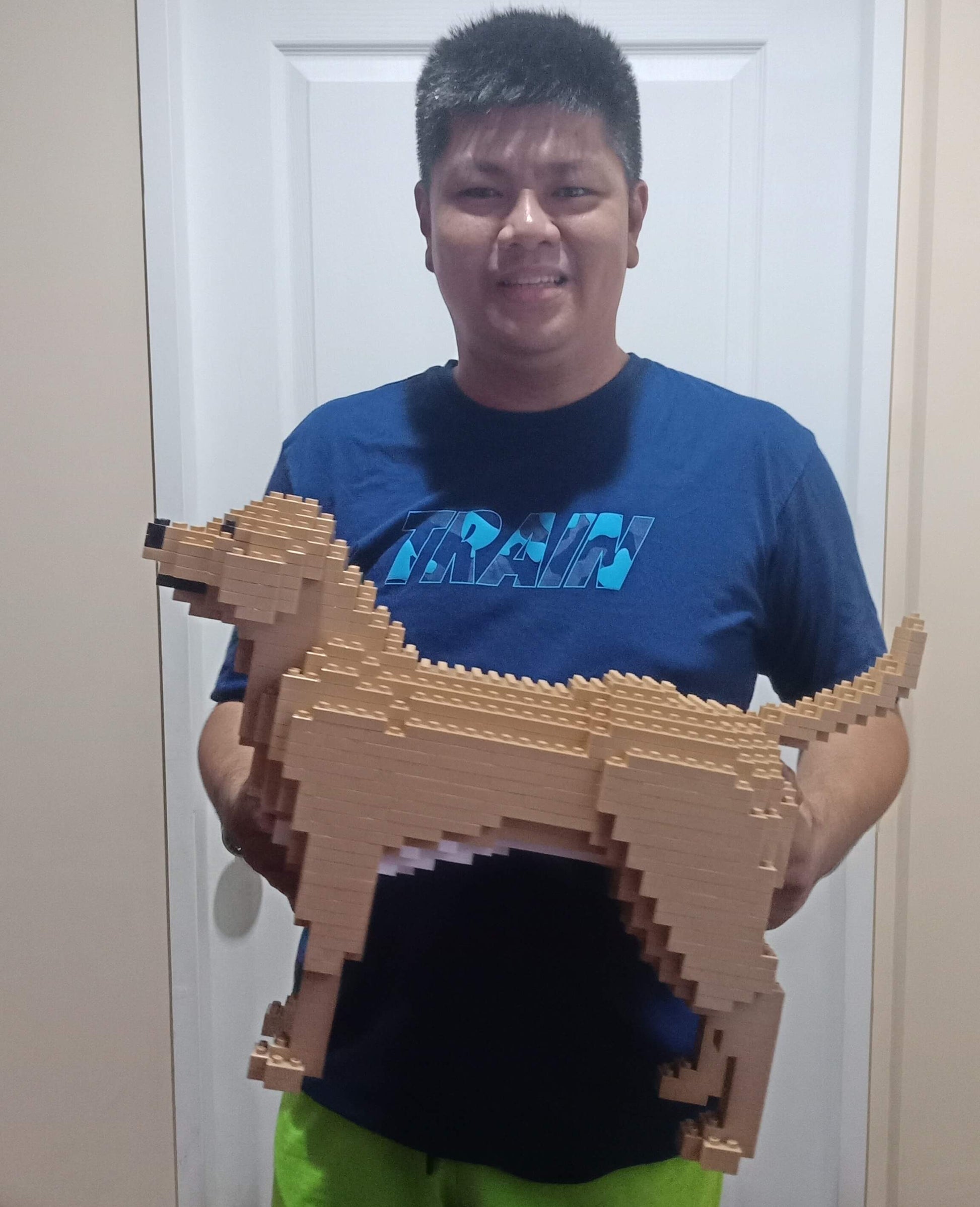 Perro Labrador Retriever