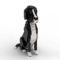 Custom LEGO Kit Building Kit Interlocking Blocks Pet Building Kit