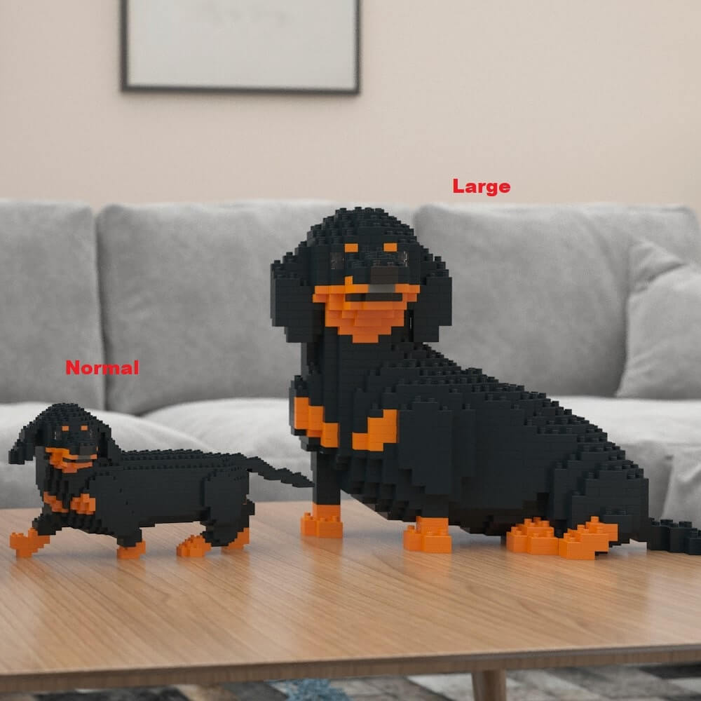 Dachshund (SALE) - Black - Walking - normal - black - walking