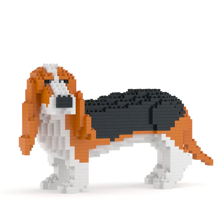 Basset Hound