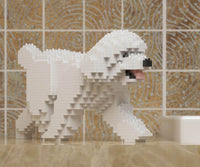 normal-white-walking