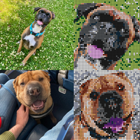 Kit de arte de píxeles personalizado