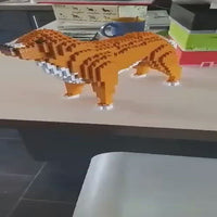 Perro perdiguero de Nueva Escocia