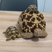 Indian Star Tortoise Building Kit Interlocking Blocks Pet Building Kit