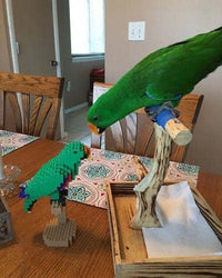 Eclectus Building Kit Interlocking Blocks Pet Building Kit