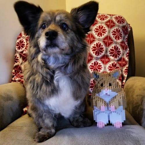 Hamster Building Kit Interlocking Blocks Pet Building Kit