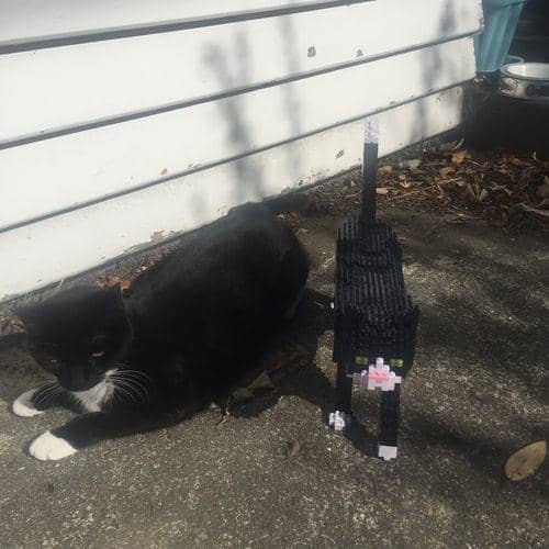 Tuxedo Cat Building Kit Interlocking Blocks Pet Building Kit