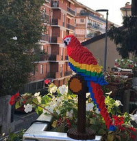 Macaw Building Kit Interlocking Blocks Pet Building Kit