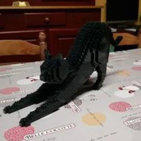 Black Cat Building Kit Interlocking Blocks Pet Building Kit