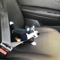 normal-black-walking