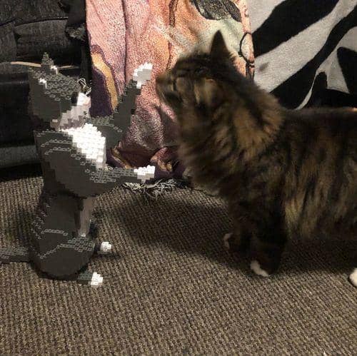 Grey Tuxedo Cat Building Kit Interlocking Blocks Pet Building Kit