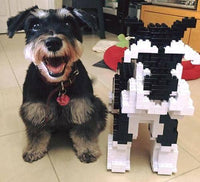 large-blackandwhite-standing