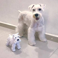 normal-white-standing