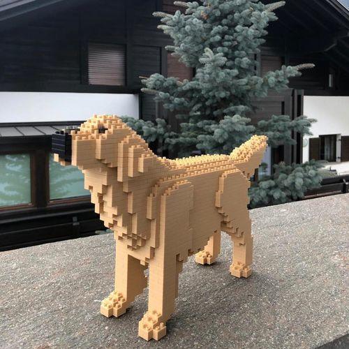 normal-yellow-standing