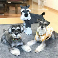 large-saltandpepper-looking