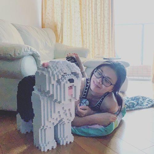 Lego old english hot sale sheepdog
