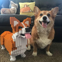 Corgi galés