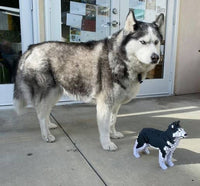 normal-classic-black