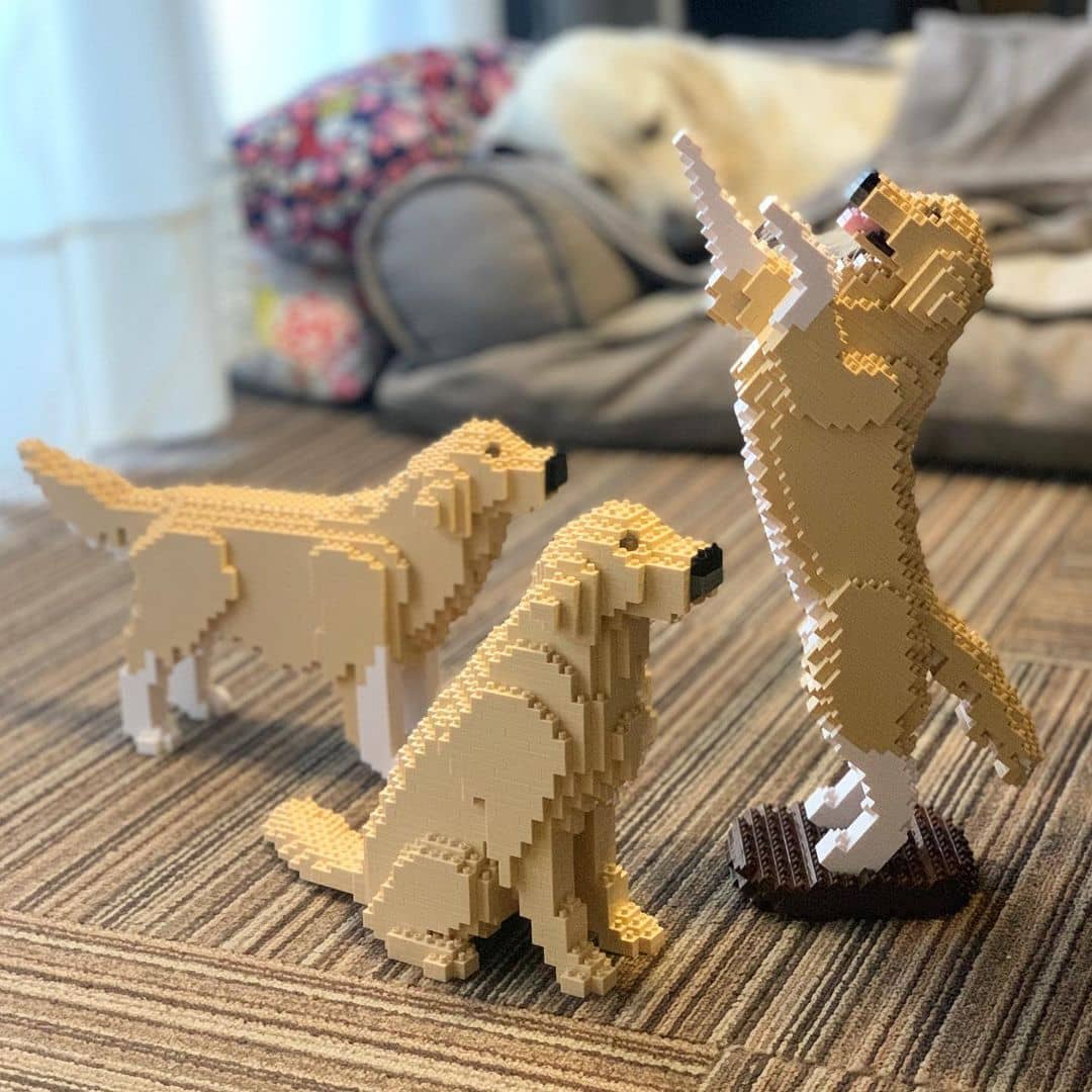 normal-yellow-sitting