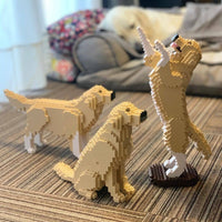 normal-yellow-sitting