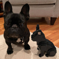 sitting-normal-black