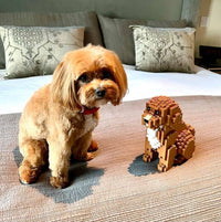 Cavapoo Building Kit Interlocking Blocks Pet Building Kit