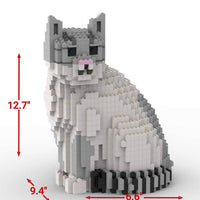 Gato doméstico de pelo corto