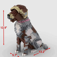 Wirehaired Pointing Griffon