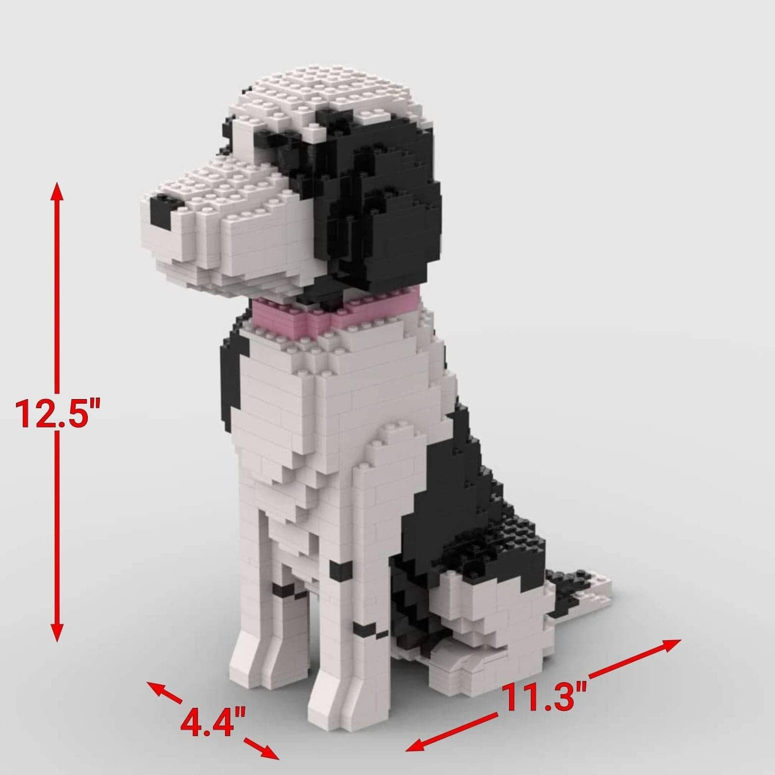 Perro de agua portugués