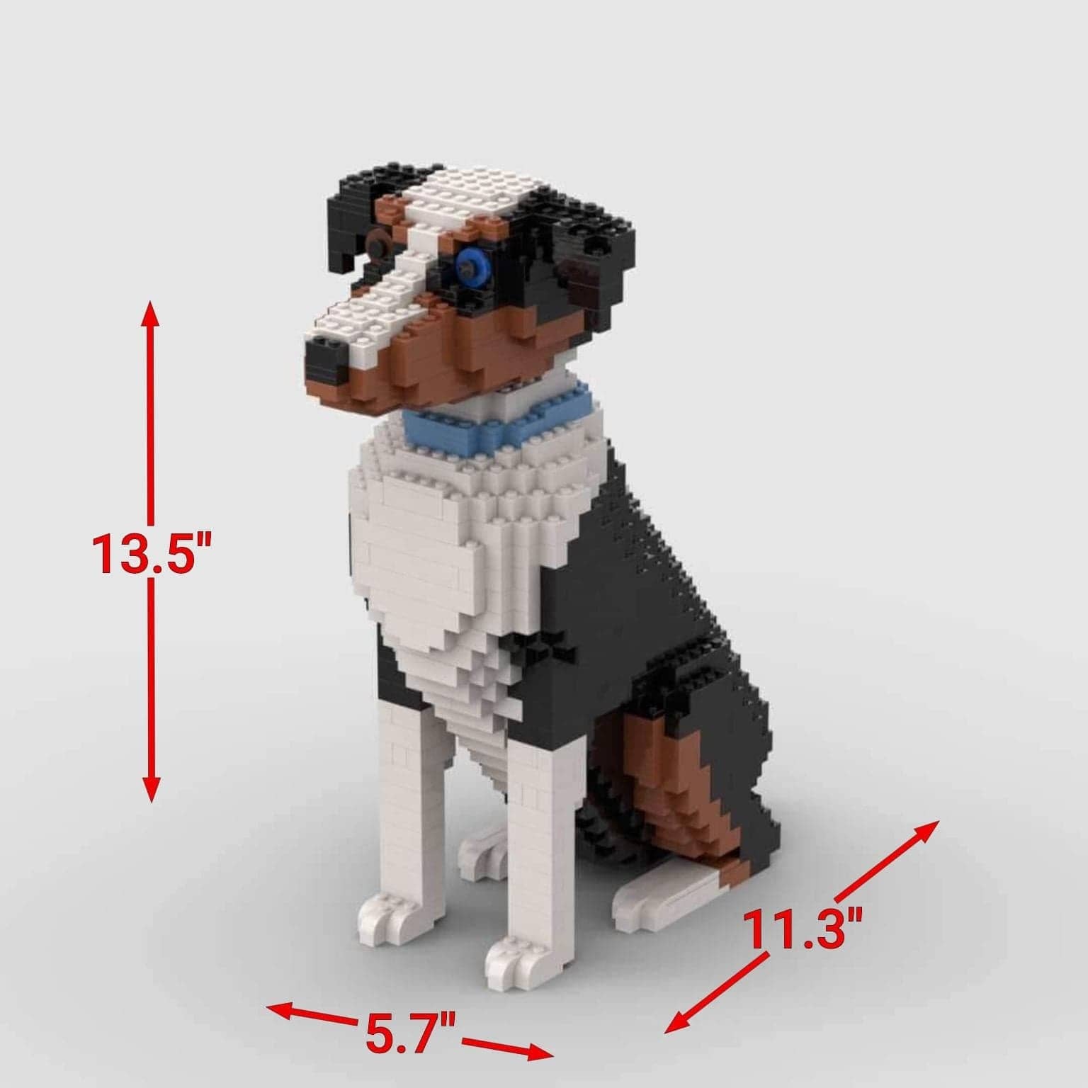 Pastor americano miniatura