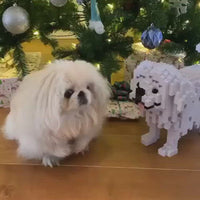 pekinés