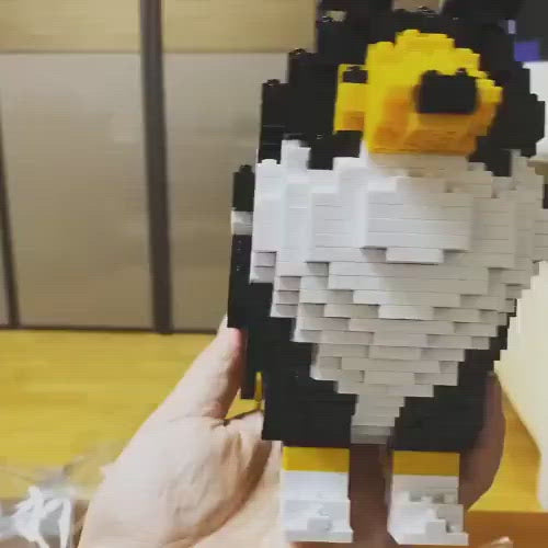 Perro pastor de Shetland