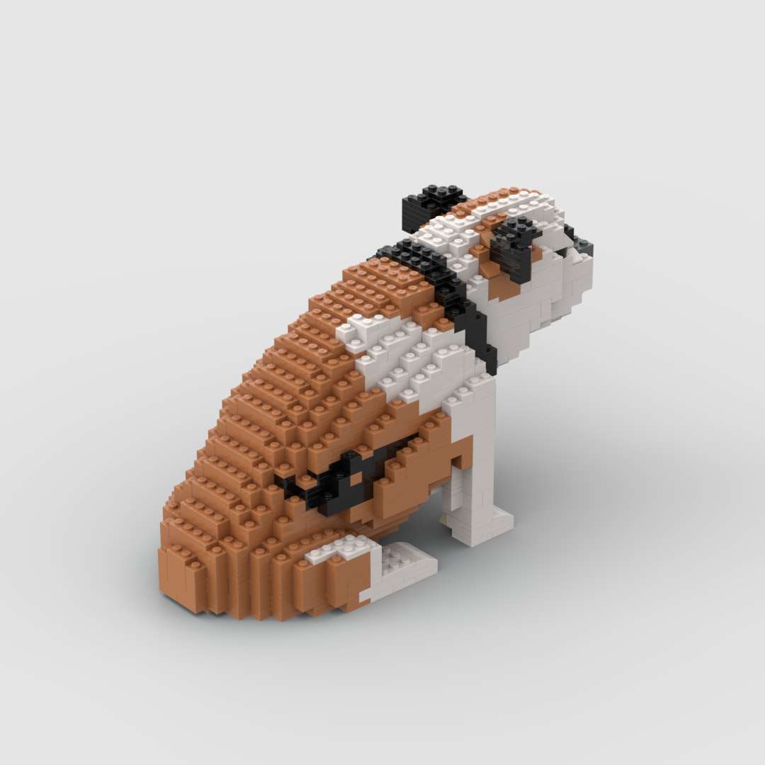 Bulldog inglés antiguo