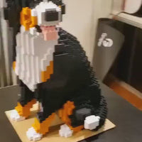 Perro de montaña bernés