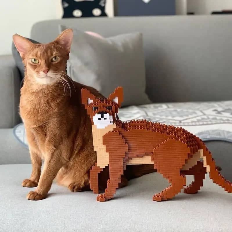 Abyssinian Cat Building Kit Interlocking Blocks Pet Building Kit