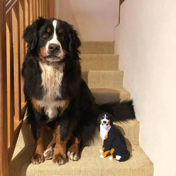 Bernese Mountain Dog Reviews Dog Toys