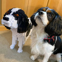 normal-blackandwhite