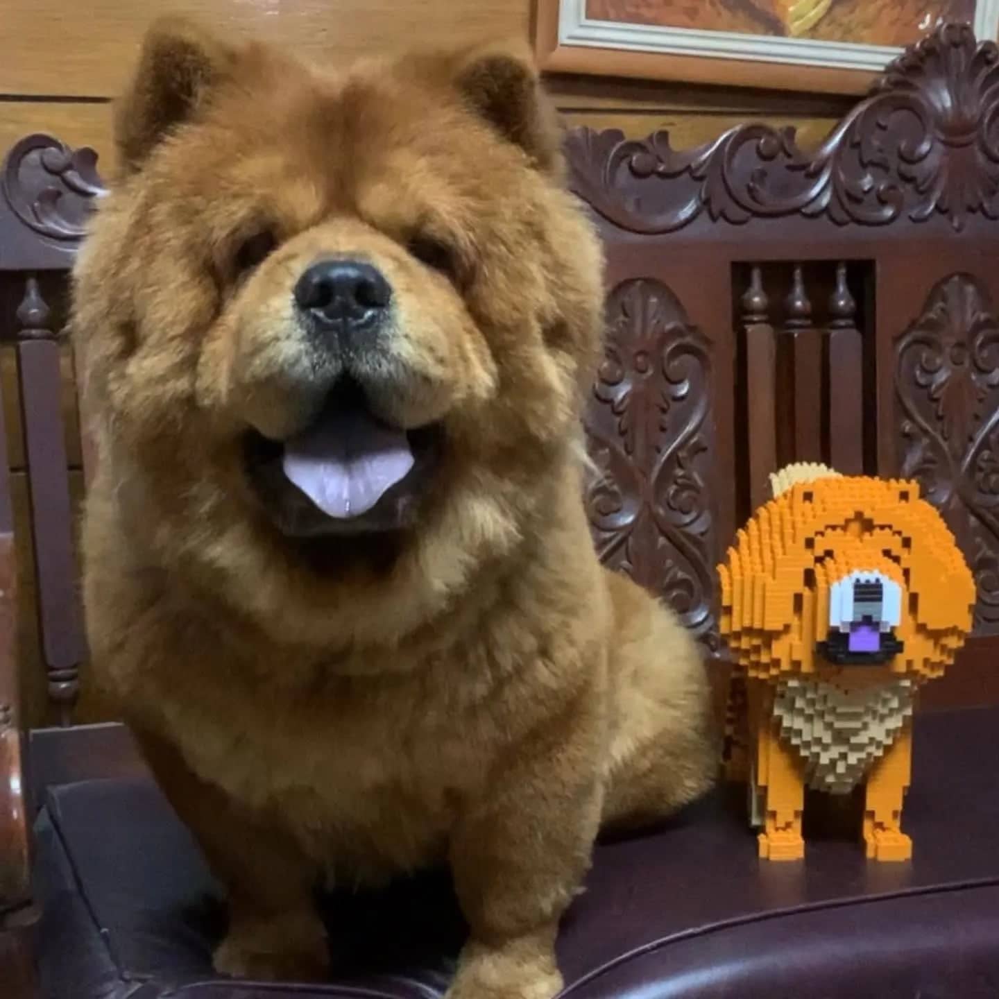 Chow Chow Toy Building Blocks l Different Than LEGOs Build Em Pets