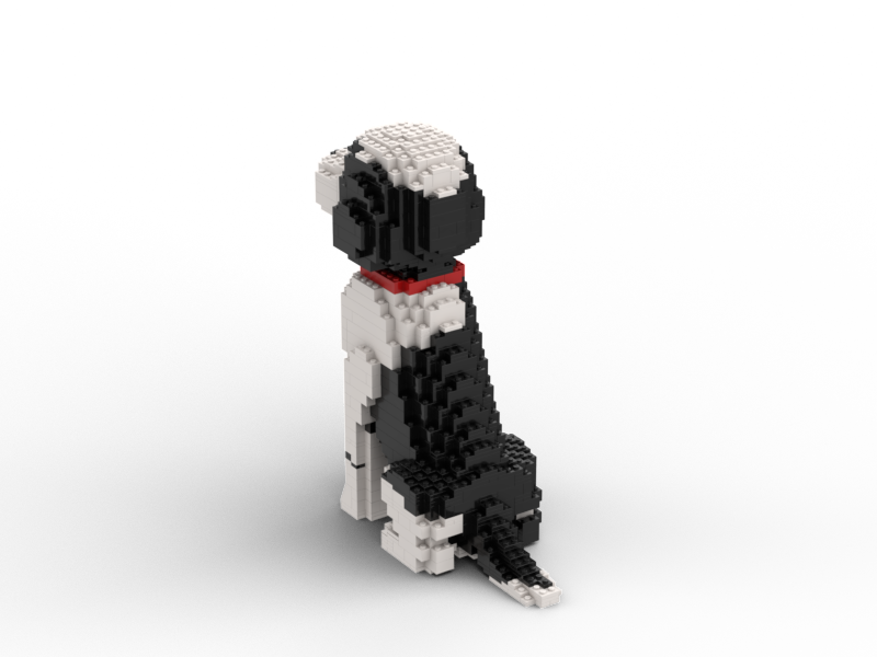 Portuguese Waterdog Building Kit Interlocking Blocks Pet Building Kit