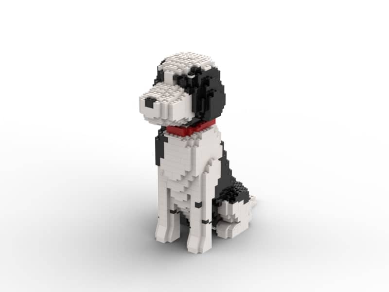 Portuguese Waterdog Building Kit Interlocking Blocks Pet Building Kit