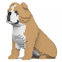 English Bulldog Building Kit sale Pet Building Kit