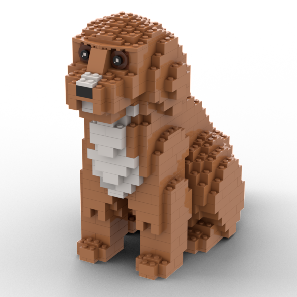 Cavapoo Building Kit Interlocking Blocks Pet Building Kit